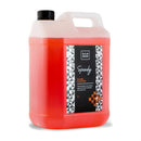 SANSOM -  SPEEDY Glass Cleaner